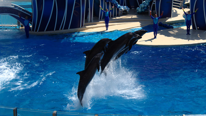 SeaWorld