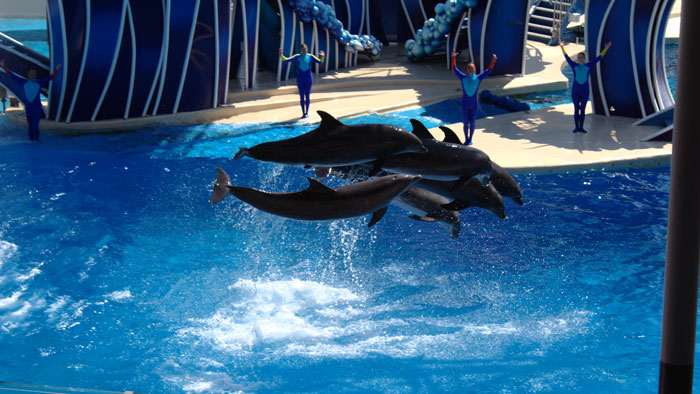 SeaWorld