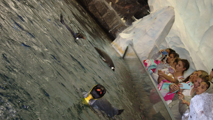 SeaWorld
