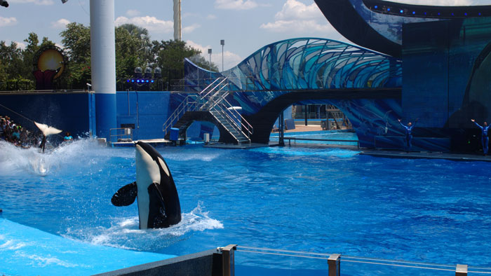 SeaWorld
