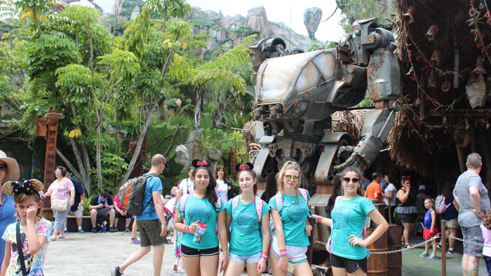 Animal Kingdom