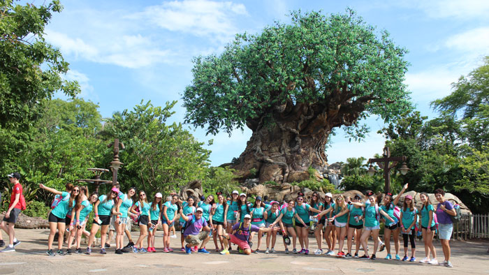 Animal Kingdom