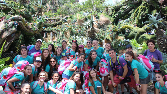Animal Kingdom